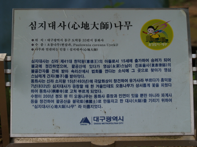 resized_p8135635