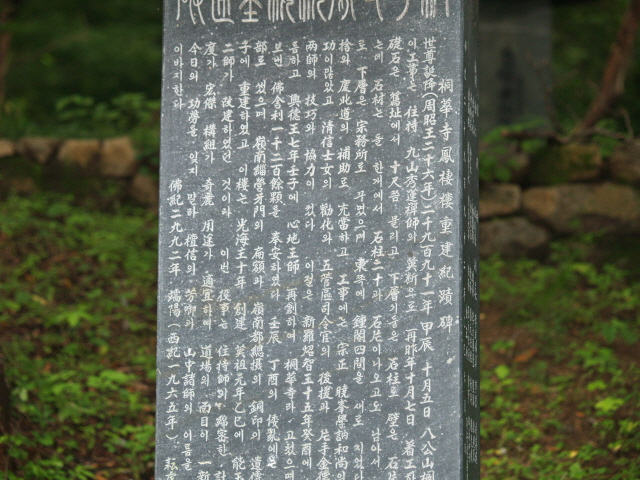resized_p8135647