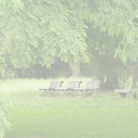 기타,이미지 Thumb