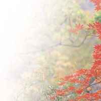 기타,이미지 Thumb