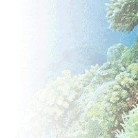 기타,이미지 Thumb