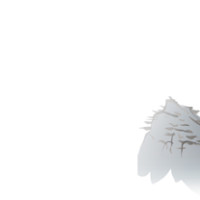 기타,이미지 Thumb