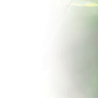 기타,이미지 Thumb