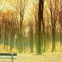 기타,이미지 Thumb