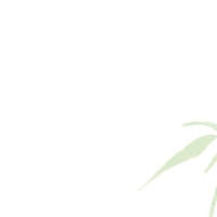 기타,이미지 Thumb