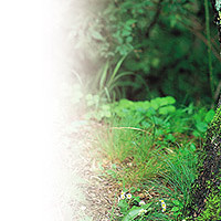 기타,이미지 Thumb