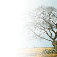 기타,이미지 Thumb