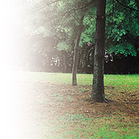 기타,이미지 Thumb
