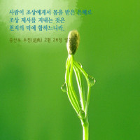 증산도 도전성구 Thumb