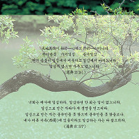 증산도 도전성구 Thumb