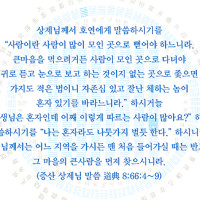 증산도 도전성구 Thumb