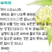 증산도 도전성구 Thumb