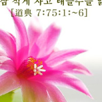 증산도 도전성구 Thumb