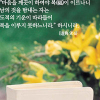 증산도 도전성구 Thumb