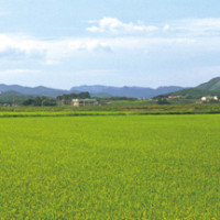 증산도 성지 Thumb