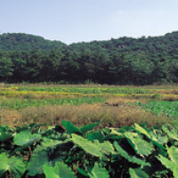 증산도 성지 Thumb