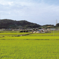 증산도 성지 Thumb