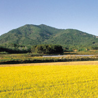 증산도 성지 Thumb