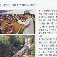 패널모음 Thumb