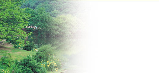 sbn_l_03