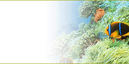 sbnl_011