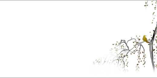 sbnl_07
