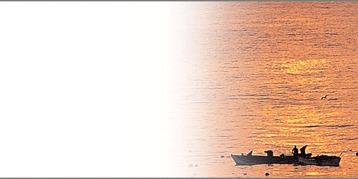 sbnl_21