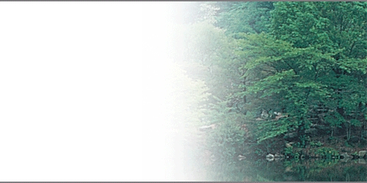 sbnl_26