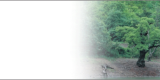 sbnl_27