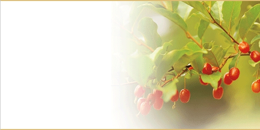 sbnl_40