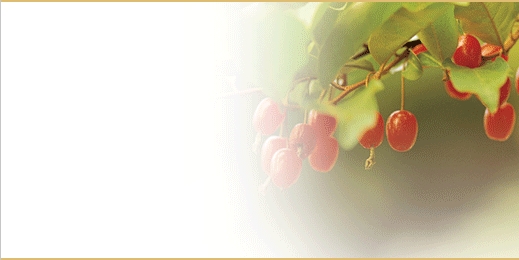 sbnl_41