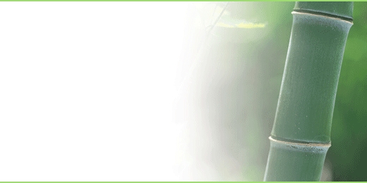 sbnt_03