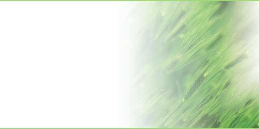 sbnt_04