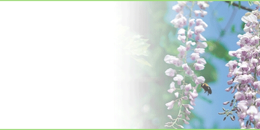 sbnt_06