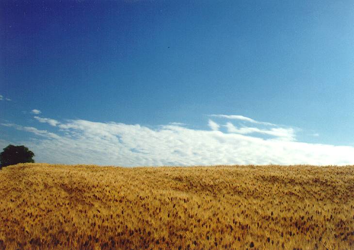 solomoon-251