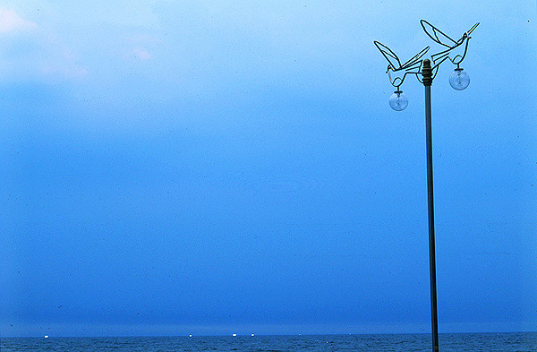 solomoon-359