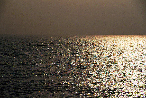 solomoon-418
