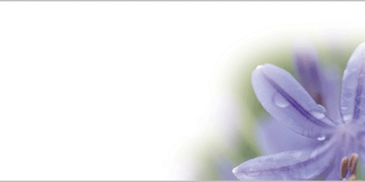tsbnl_06