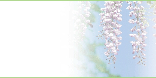 tsbnl_16