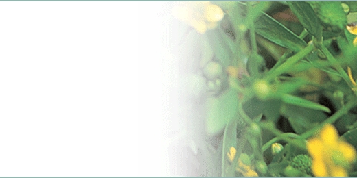tsbnl_32