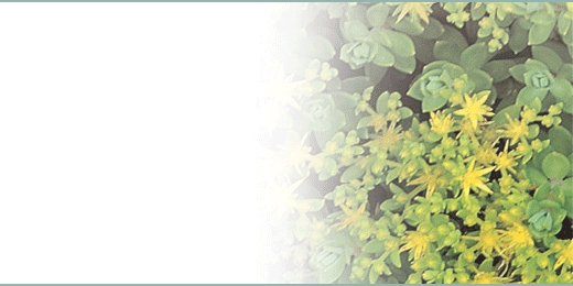 tsbnl_33