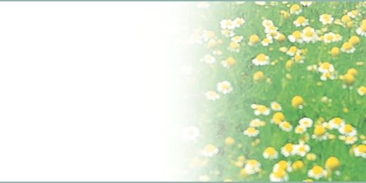 tsbnl_34
