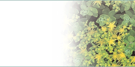 tsbnl_35