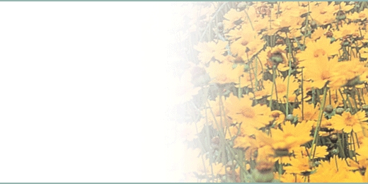 tsbnl_36