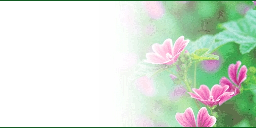 tsbnl_43