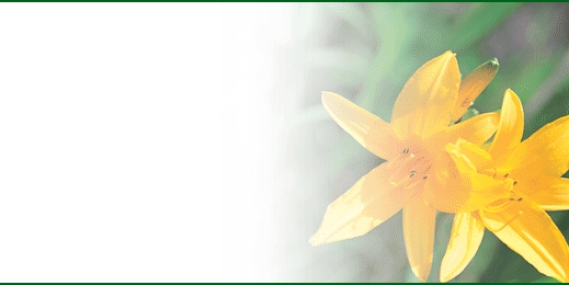 tsbnl_45