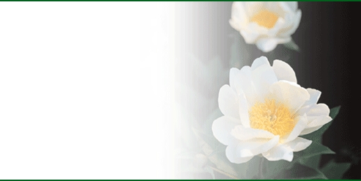 tsbnl_47