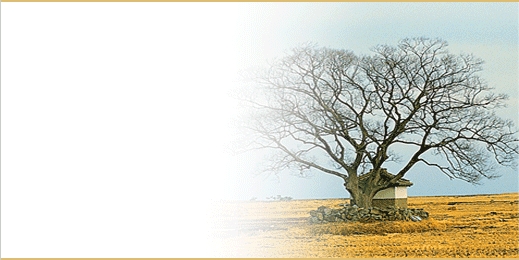 tsbnl_53