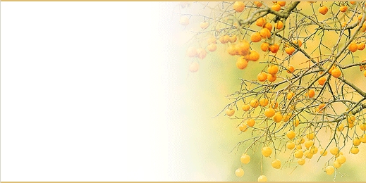 tsbnl_58