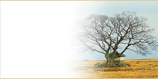 tsbnl_59